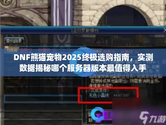 DNF熊猫宠物2025终极选购指南，实测数据揭秘哪个服务器版本最值得入手