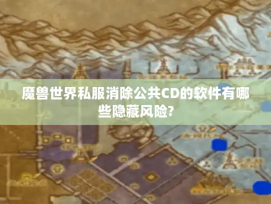 魔兽世界私服消除公共CD的软件有哪些隐藏风险?