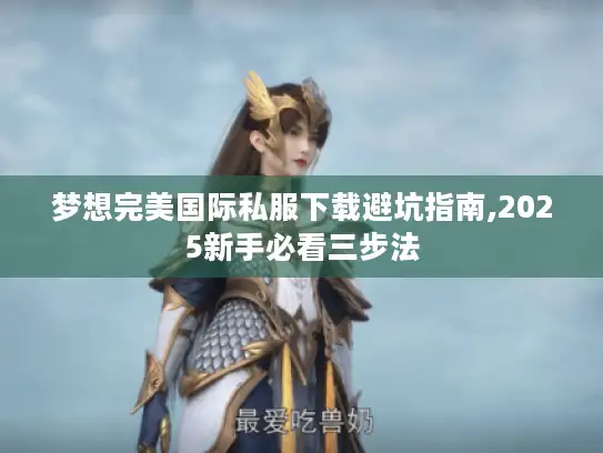 梦想完美国际私服下载避坑指南,2025新手必看三步法 梦想完美国际私服下载避坑指南,2025新手必看三步法