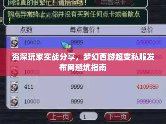 资深玩家实战分享，梦幻西游超变私服发布网避坑指南
