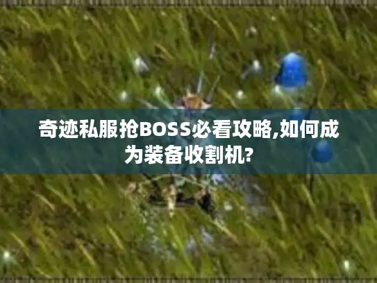 奇迹私服抢BOSS必看攻略,如何成为装备收割机?