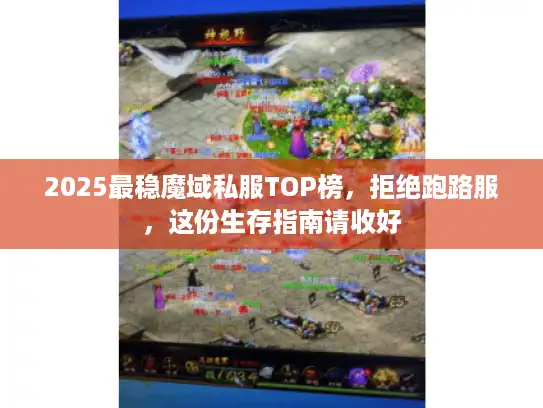 2025最稳魔域私服TOP榜，拒绝跑路服，这份生存指南请收好