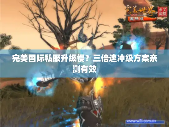 完美国际私服升级慢？三倍速冲级方案亲测有效