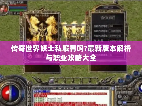传奇世界妖士私服有吗?最新版本解析与职业攻略大全