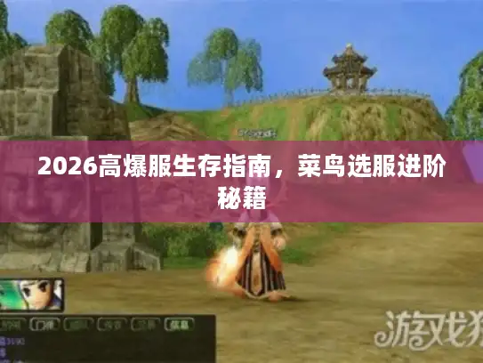 2026高爆服生存指南,菜鸟选服进阶秘籍 2026高爆服生存指南,菜鸟选服进阶秘籍