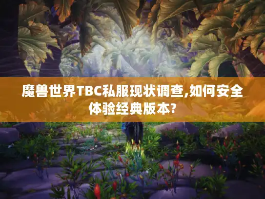 魔兽世界TBC私服现状调查,如何安全体验经典版本?