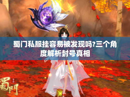 蜀门私服挂容易被发现吗?三个角度解析封号真相 蜀门私服挂容易被发现吗?三个角度解析封号真相