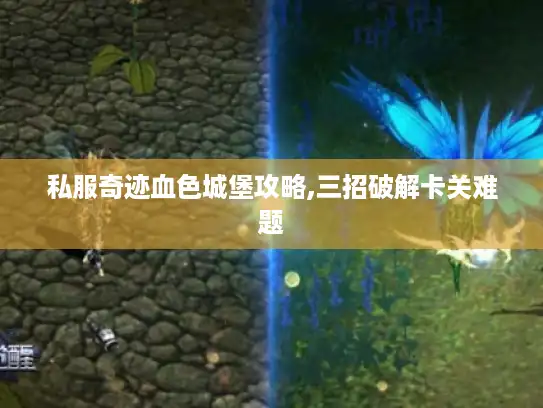 私服奇迹血色城堡攻略,三招破解卡关难题