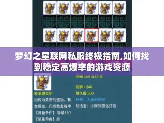 梦幻之星联网私服终极指南,如何找到稳定高爆率的游戏资源