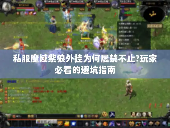 私服魔域紫狼外挂为何屡禁不止?玩家必看的避坑指南