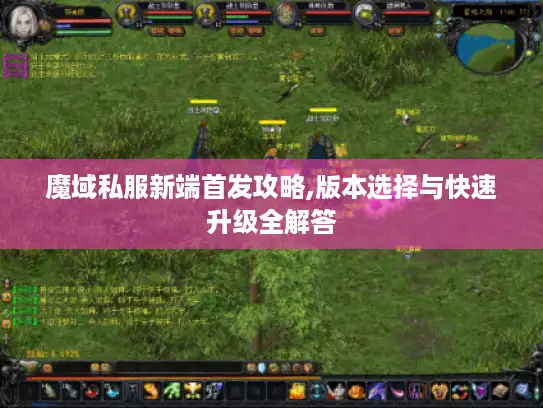 魔域私服新端首发攻略,版本选择与快速升级全解答