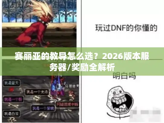 赛丽亚的教导怎么选？2026版本服务器/奖励全解析