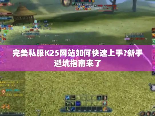完美私服K25网站如何快速上手?新手避坑指南来了