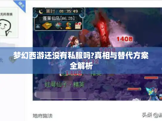 梦幻西游还没有私服吗?真相与替代方案全解析 梦幻西游还没有私服吗?真相与替代方案全解析