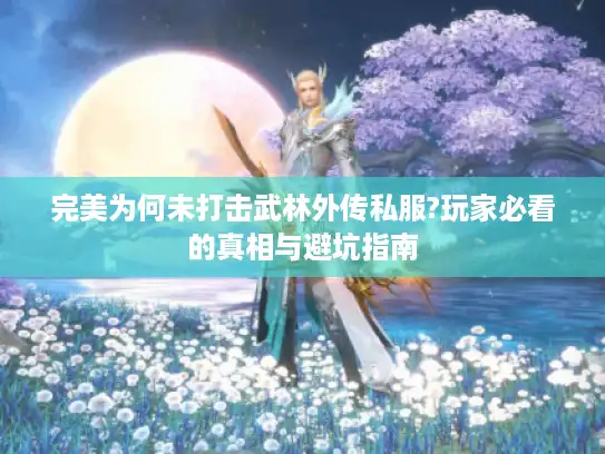 完美为何未打击武林外传私服?玩家必看的真相与避坑指南