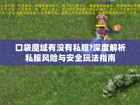 口袋魔域有没有私服?深度解析私服风险与安全玩法指南