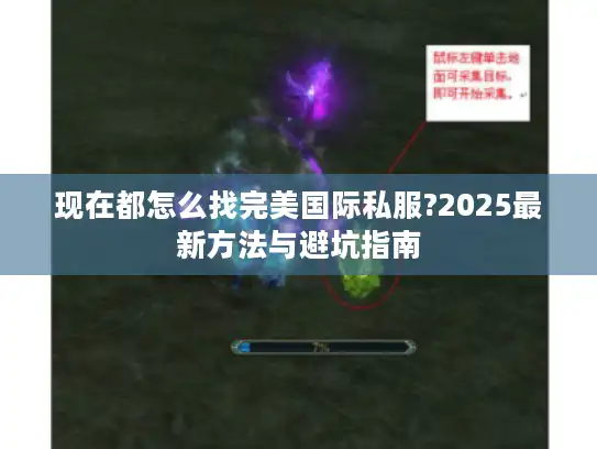 现在都怎么找完美国际私服?2025最新方法与避坑指南