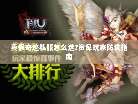 真假奇迹私服怎么选?资深玩家防坑指南