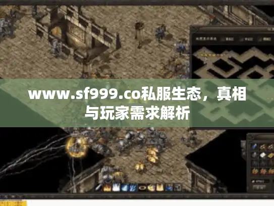 www.sf999.co私服生态，真相与玩家需求解析