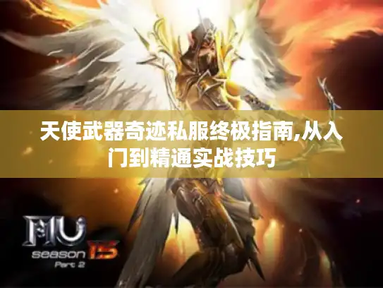 天使武器奇迹私服终极指南,从入门到精通实战技巧