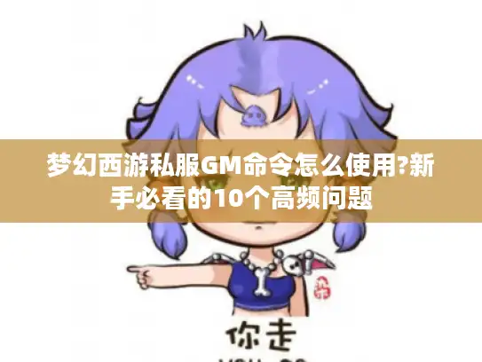 梦幻西游私服GM命令怎么使用?新手必看的10个高频问题