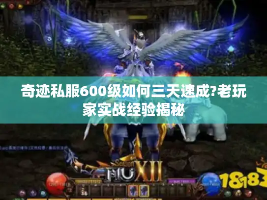奇迹私服600级如何三天速成?老玩家实战经验揭秘 奇迹私服600级如何三天速成?老玩家实战经验揭秘