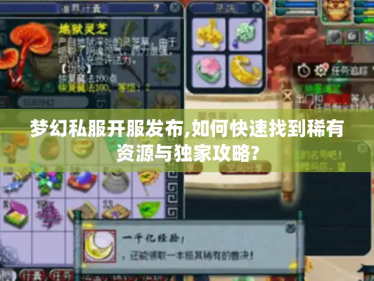 梦幻私服开服发布,如何快速找到稀有资源与独家攻略?
