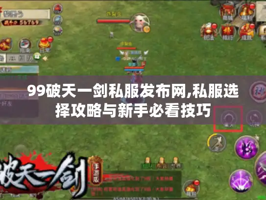 99破天一剑私服发布网,私服选择攻略与新手必看技巧 99破天一剑私服发布网,私服选择攻略与新手必看技巧