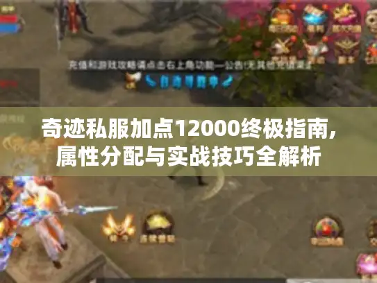 奇迹私服加点12000终极指南,属性分配与实战技巧全解析