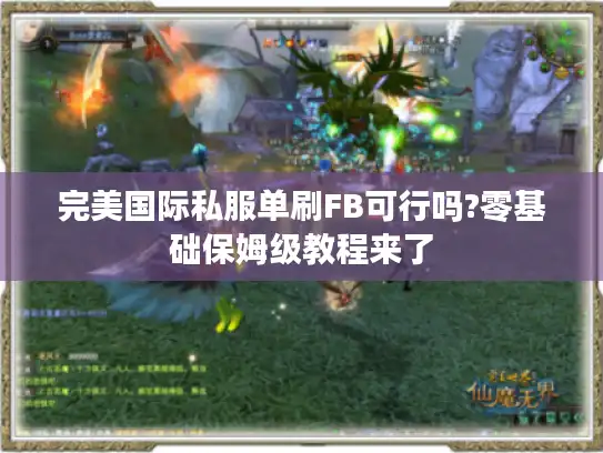 完美国际私服单刷FB可行吗?零基础保姆级教程来了 完美国际私服单刷FB可行吗?零基础保姆级教程来了