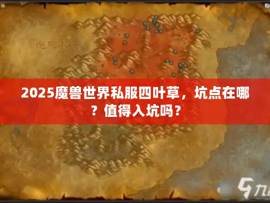 2025魔兽世界私服四叶草,坑点在哪?值得入坑吗? 2025魔兽世界私服四叶草,坑点在哪?值得入坑吗?