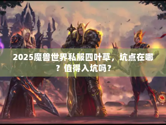 2025魔兽世界私服四叶草,坑点在哪?值得入坑吗? 2025魔兽世界私服四叶草,坑点在哪?值得入坑吗?