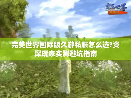 完美世界国际版久游私服怎么选?资深玩家实测避坑指南