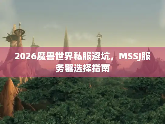 2026魔兽世界私服避坑，MSSJ服务器选择指南