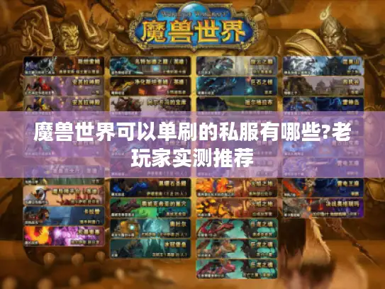 魔兽世界可以单刷的私服有哪些?老玩家实测推荐