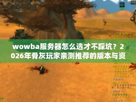 wowba服务器怎么选才不踩坑？2026年骨灰玩家亲测推荐的版本与资源全攻略