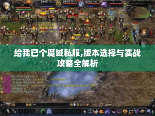 给我已个魔域私服,版本选择与实战攻略全解析