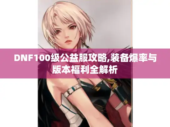 DNF100级公益服攻略,装备爆率与版本福利全解析 DNF100级公益服攻略,装备爆率与版本福利全解析