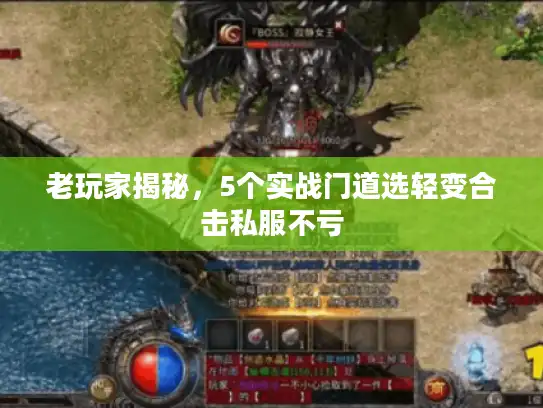 老玩家揭秘，5个实战门道选轻变合击私服不亏