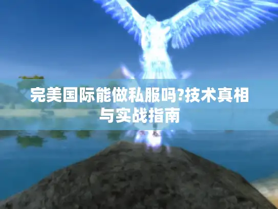 完美国际能做私服吗?技术真相与实战指南