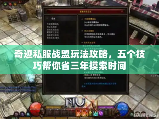 奇迹私服战盟玩法攻略，五个技巧帮你省三年摸索时间