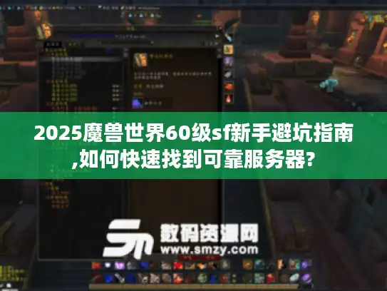 2025魔兽世界60级sf新手避坑指南,如何快速找到可靠服务器?