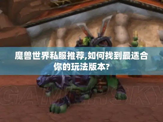 魔兽世界私服推荐,如何找到最适合你的玩法版本?