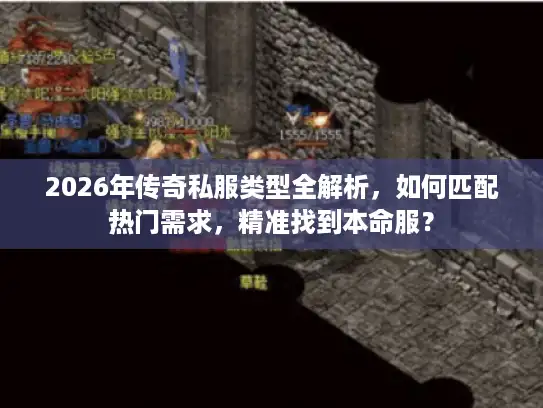 2026年传奇私服类型全解析，如何匹配热门需求，精准找到本命服？