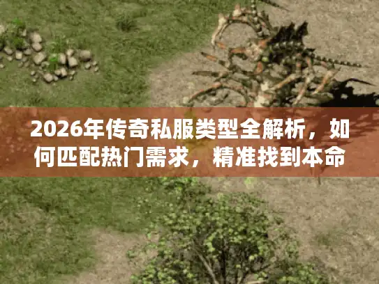 2026年传奇私服类型全解析，如何匹配热门需求，精准找到本命服？