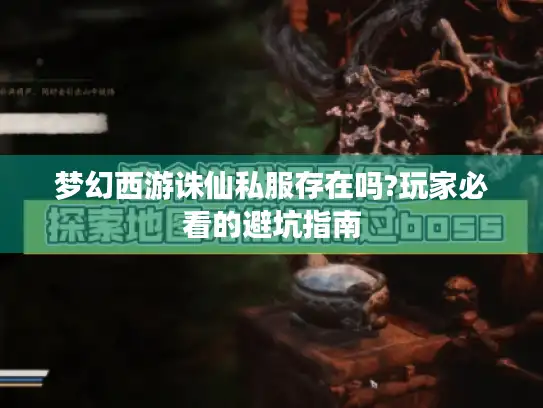 梦幻西游诛仙私服存在吗?玩家必看的避坑指南
