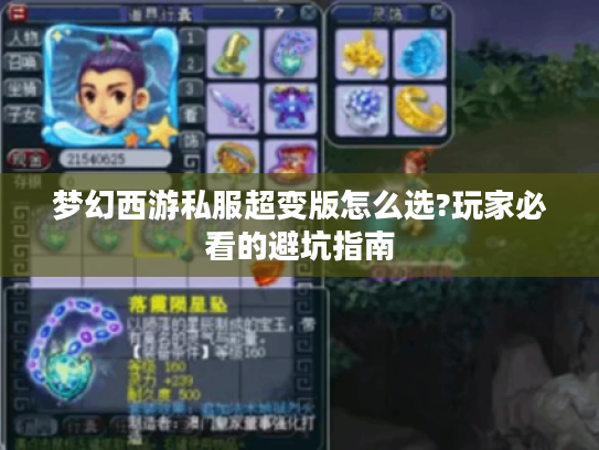 梦幻西游私服超变版怎么选?玩家必看的避坑指南