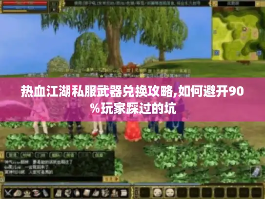热血江湖私服武器兑换攻略,如何避开90%玩家踩过的坑