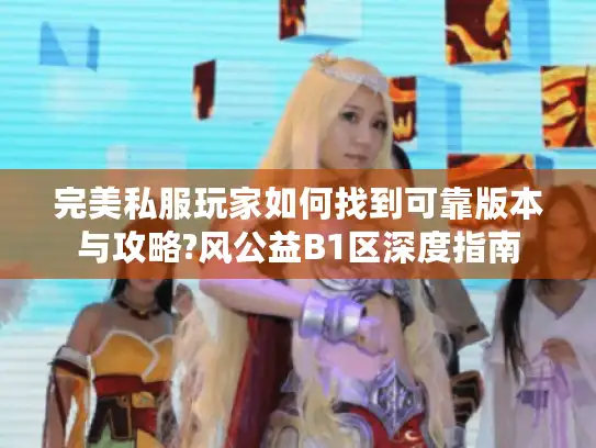 完美私服玩家如何找到可靠版本与攻略?风公益B1区深度指南