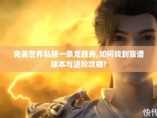 完美世界私服一条龙服务,如何找到靠谱版本与进阶攻略?